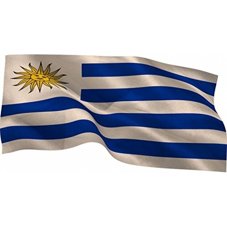 50 Banderas De Uruguay 90x60 - Al Por Mayor